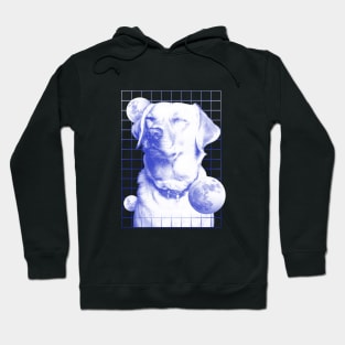 Dog Universe Hoodie